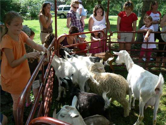 Children feeding the goats provided by Edgewood Farms