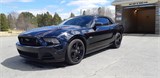 Miramichi Automotives for Sale mustang412271