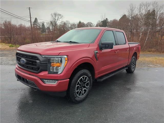 Fredericton Automotives for Sale 2021 Ford F-150