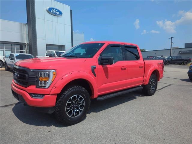 Fredericton Automotives for Sale 2023 Ford F-150