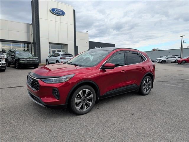Grand Falls Automotives for Sale 2024 Ford Escape