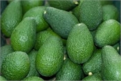 Saint John's Local Marketplace and Deals avocadoes