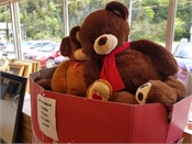 Saint John's Local Marketplace and Deals bears