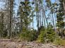 Miramichi's Real Estate Listings 19588_GetMedia