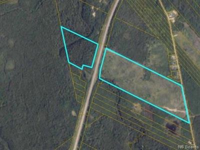 Miramichi's Real Estate Listings for 91 acres Rte 415 Warwick Rd