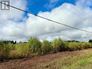 Miramichi's Real Estate Listings 20104_4.26