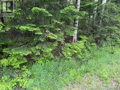 Miramichi's Real Estate Listings for Wayerton Road, Wayerton